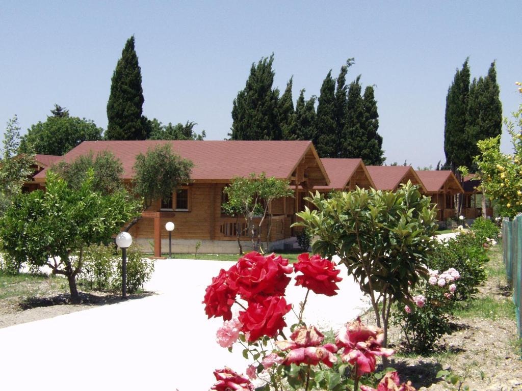 Sandy'S Studios Apartments & Log-Villas Kos Town Exterior photo