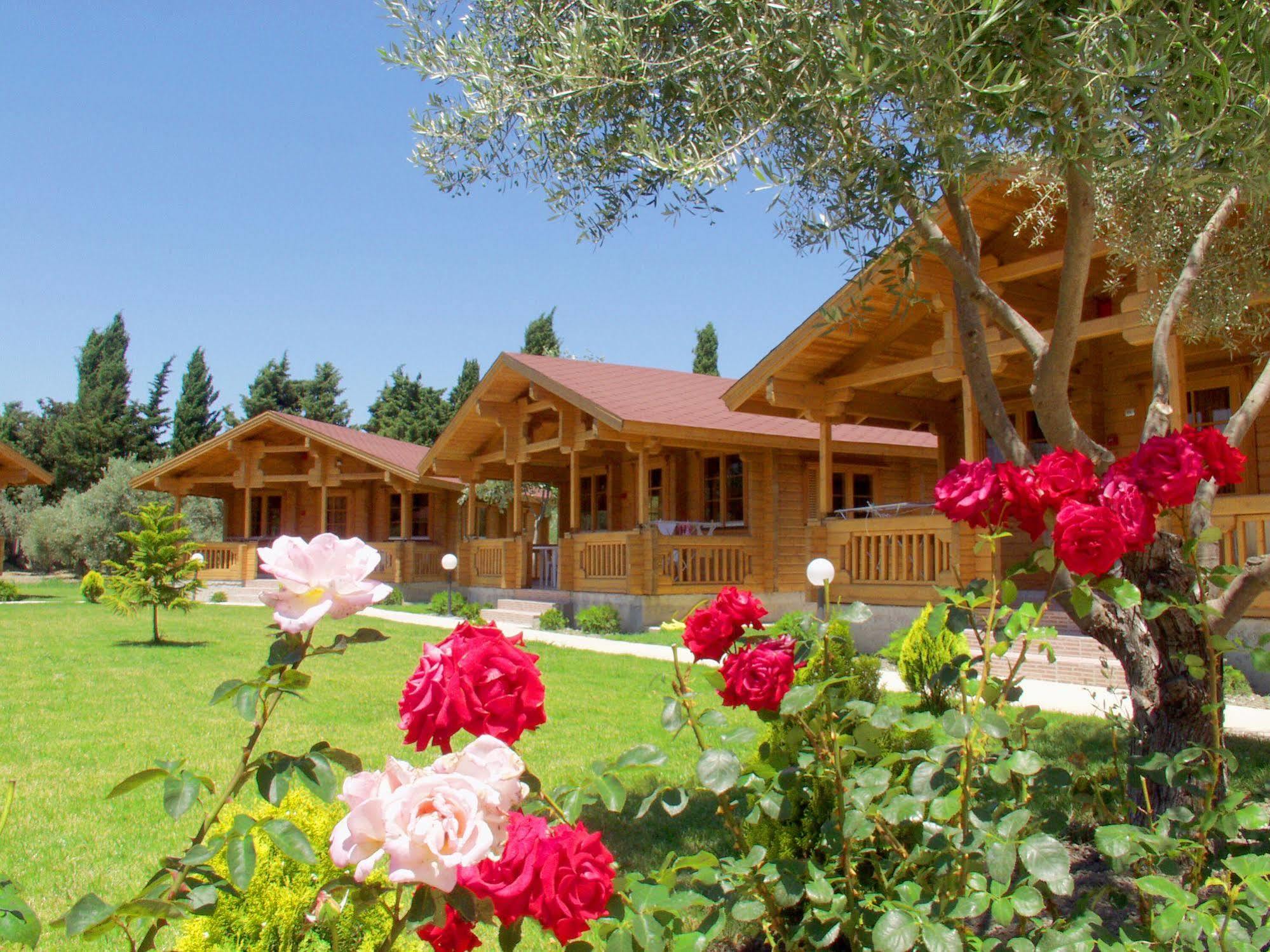 Sandy'S Studios Apartments & Log-Villas Kos Town Exterior photo